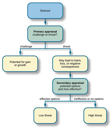 Flow Chart Mod