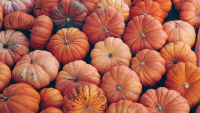 Pumpkin patch