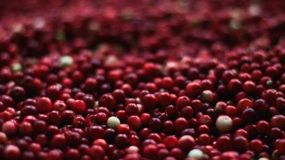 Cranberries