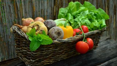 Vegetable basket