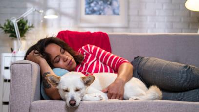 Woman napping on a couch with a dog