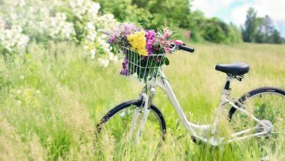 Bicycle with flowers