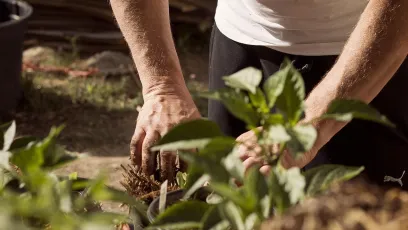 A man gardening