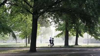 Couple jogging in the woods