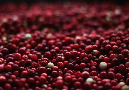 Cranberries