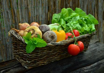 Vegetable basket