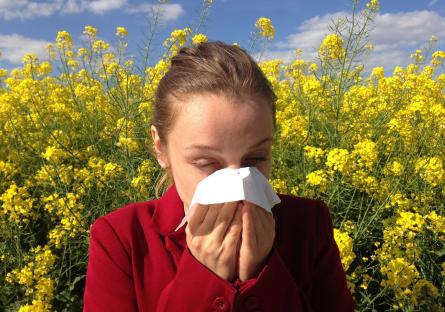 Sneezing woman in a flower field