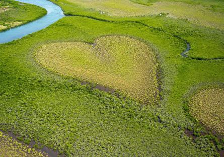 A field shaped like a heart near a river in the wild