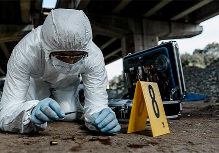 Senior forensic scientist working at crime scene