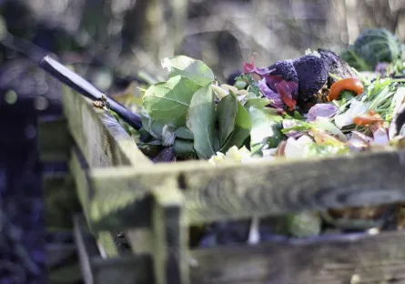 Compost bin in a garden