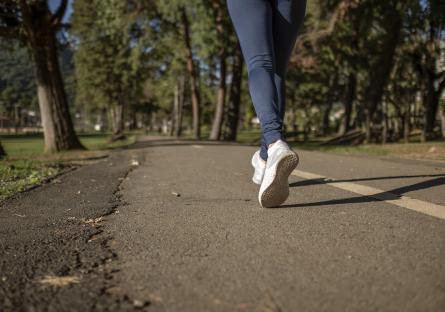 Running on a tree-lined park road