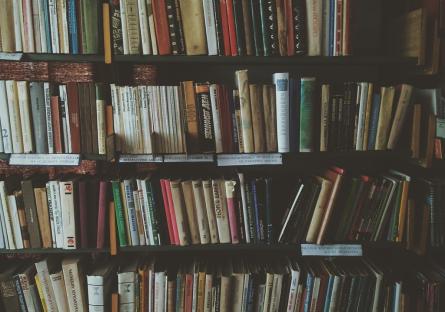 Library bookshelves
