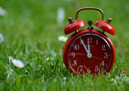 A red clock in a grassy field