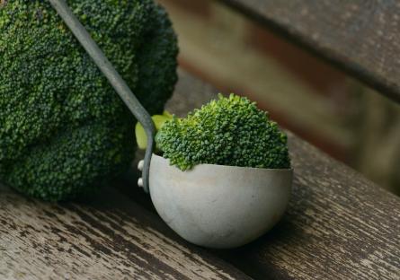 A metal scoop holding a broccoli floret