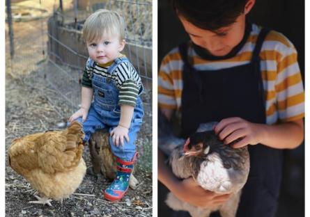 Kerrie's grandsons, Grey (left) and Gunner (right), with her chickens