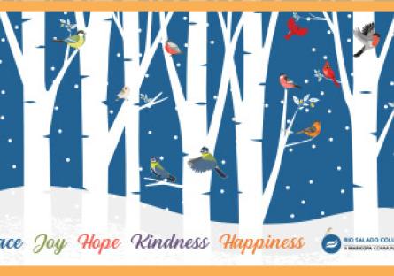 Snowy image of white trees and colorful birds perched on branches. text: Peace, Joy, Hope, Kindness, Happiness