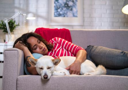 Woman napping on a couch with a dog