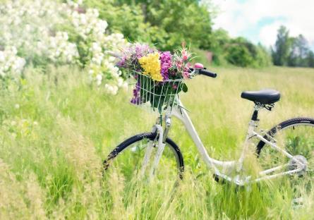 Bicycle with flowers