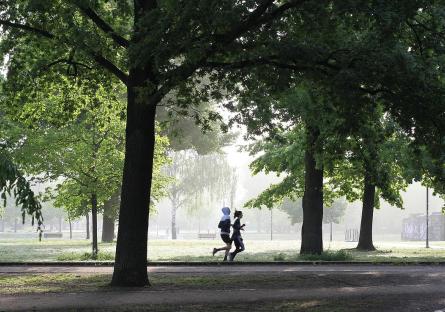 Couple jogging in the woods