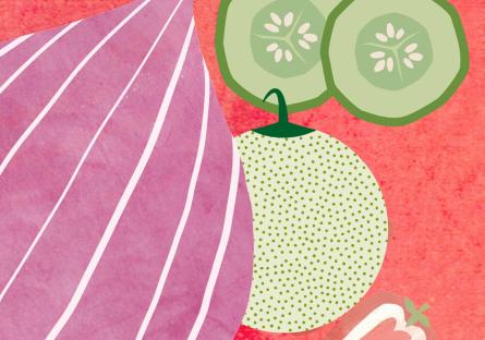 Cartoon art of an onion, cucumbers, and lychee