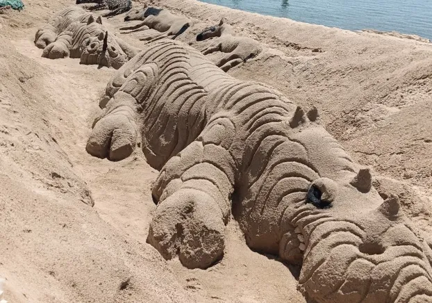 photo of sand animal